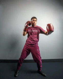 TITLE Boxing Blood Red Leather Bag Gloves -Cheap Boxing Gear Store brbg rd 2