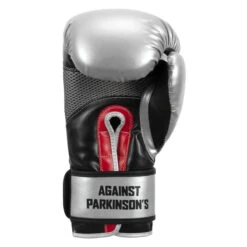 TITLE Boxing Fight Back Boxing Gloves -Cheap Boxing Gear Store fbbg gr 04