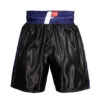 Fighting Professional Boxing Trunks -Cheap Boxing Gear Store fpst bk bl 1 1