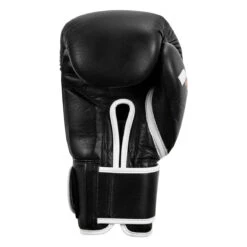 Fighting Fury Professional Training Gloves -Cheap Boxing Gear Store fsftge bk 04
