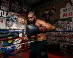 TITLE Boxing Honorary Sparring Gloves -Cheap Boxing Gear Store gossg bk bnl 3 1 1