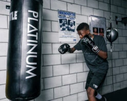 TITLE Platinum Prolific Boxing Bag Gloves -Cheap Boxing Gear Store plbg bk sv 3 1