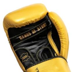 TITLE Boxing Roberto Duran Leather Training Gloves -Cheap Boxing Gear Store rdtg gd bk 05