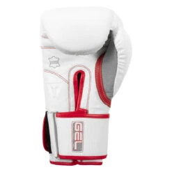 TITLE Boxing Gel Special Edition Bag Gloves 14 TITLE Boxing Gel Special Edition Bag Gloves -Cheap Boxing Gear Store setgbg sv wh rd 04