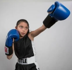 TITLE Boxing Aerovent Elite Amateur Set - Original 27 TITLE Boxing Aerovent Elite Amateur Set - Original -Cheap Boxing Gear Store tabs 1