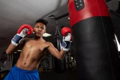 TITLE Boxing USA Leather Bag Gloves -Cheap Boxing Gear Store usabg replace the current