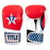 TITLE Boxing USA Leather Bag Gloves -Cheap Boxing Gear Store usabg 01
