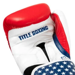 TITLE Boxing USA Leather Bag Gloves -Cheap Boxing Gear Store usabg 05
