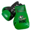 WBC By TITLE Boxing Autograph Gloves 2.0 -Cheap Boxing Gear Store wbcag2 gn 01
