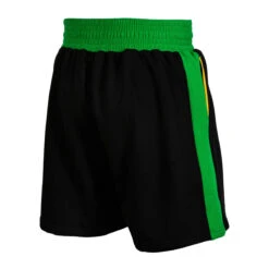WBC By TITLE Boxing Sweat Shorts -Cheap Boxing Gear Store wbctts bk gn 2