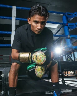 WBC By TITLE Boxing Green Belt Training Gloves 1.0 -Cheap Boxing Gear Store wgbtg bk 2 1