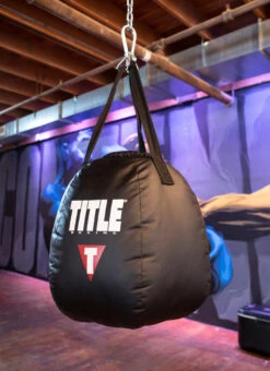 TITLE Boxing Wrecking Ball Heavy Bag -Cheap Boxing Gear Store wrbhb 2