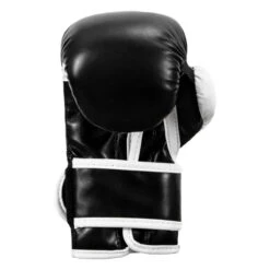 TITLE Boxing Youth Bag Gloves -Cheap Boxing Gear Store ytbbg bk wh 04