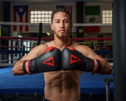 TITLE Boxing Z-FLY Bag Gloves -Cheap Boxing Gear Store zflybg bk rd 1 1